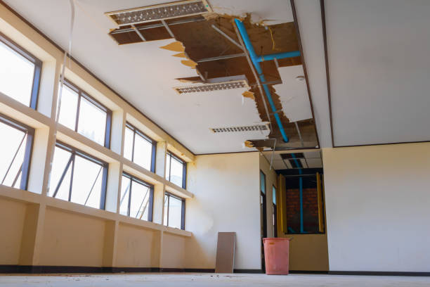 Best Flood damage cleanup  in Montegut, LA