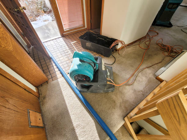 Best Flood damage cleanup  in Montegut, LA