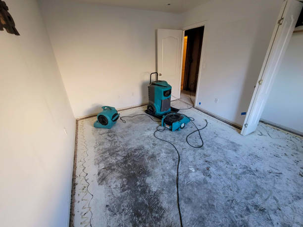 Best Water damage contractors near me  in Montegut, LA