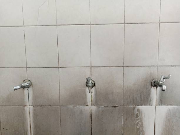 Best Water damage restoration near me  in Montegut, LA