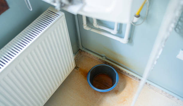 Best Fire Damage Restoration  in Montegut, LA