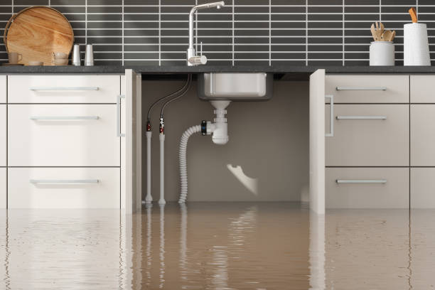 Best Water damage restoration near me  in Montegut, LA