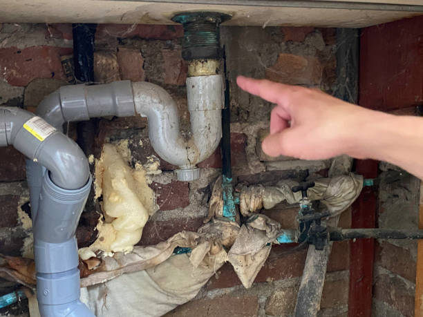 Water damage restoration mold remediation in Montegut, LA
