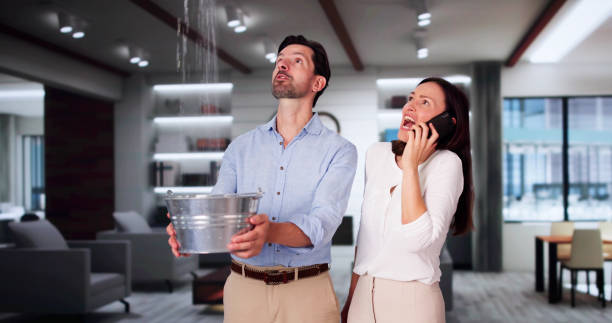 Best Flood restoration services  in Montegut, LA