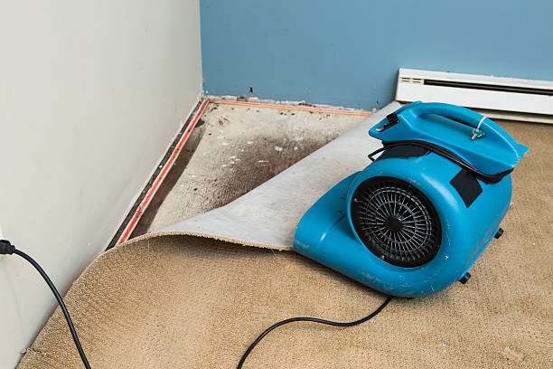 Montegut, LA Water damage restoration Company